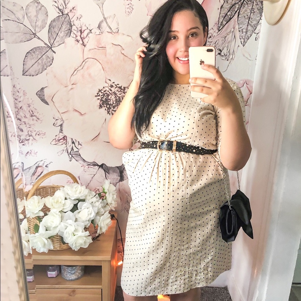 Dot Dress : Used it while pregnant